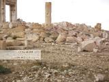زيارة ميدانية أولية للمدينة الأثرية في تدمر
