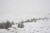 الثلوج تغطي معظم المناطق في سورية
