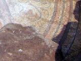  لوحة فسيفسائية تعود للفترة البيزنطية بطول 5 أمتار وعرض أربعة وذلك في قرية دير سنبل بجبل الزاوية 