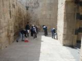 من حملة التنظيف في قلعة حلب