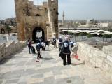 من حملة التنظيف في قلعة حلب