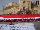 شباب سورية يحملون العلم أمام بوابة قلعة حلب