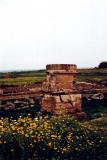 منظر ربيعي لمعبد عمريت
