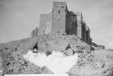 القلعة العربية في تدمر