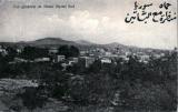 صورة قديمة فيها منظر عام لمدينة حماة