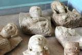 جانب من المجموعة الأثرية المضبوطة مع مهرب وهي عبارة عن تماثيل نصفية جنائزية منهوبة من أحد مدافن تدمر المنقبة حديثاً وبشكل سري