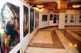 مؤسسة الوعد الصادق تقيم معرضا فنيا لدعم جرحى الجيش العربي السوري