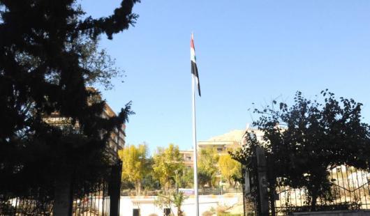 رفع العلم الوطني وحملة تشجير في حي أبو جرش بدمشق